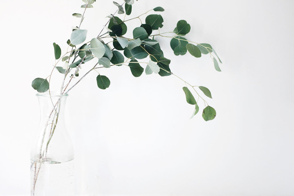 Wellness: What is it?